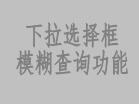 下拉选择框模糊查询功能